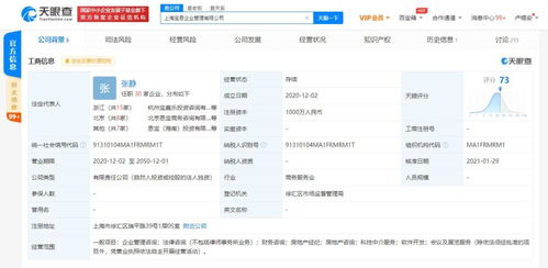 信息技術(shù)咨詢服務(wù)的價(jià)值與未來趨勢